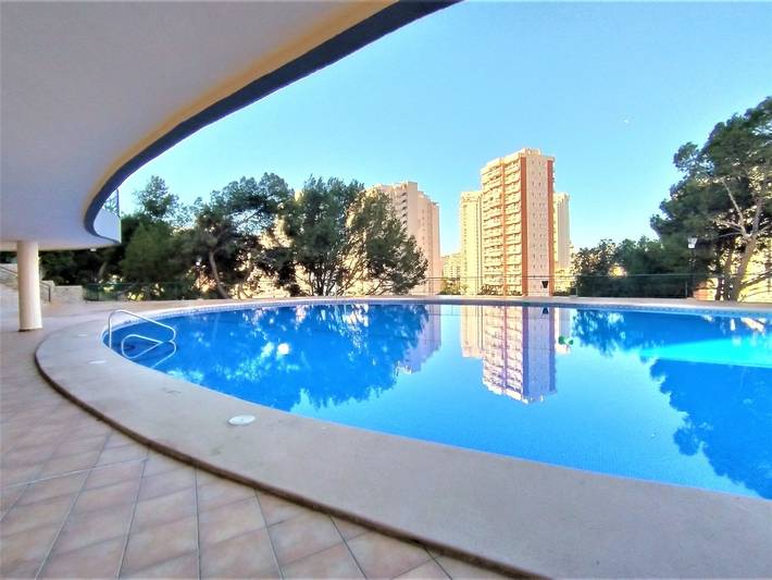 Entire apartment, Coblanca Xvi in Benidorm, Costa Blanca