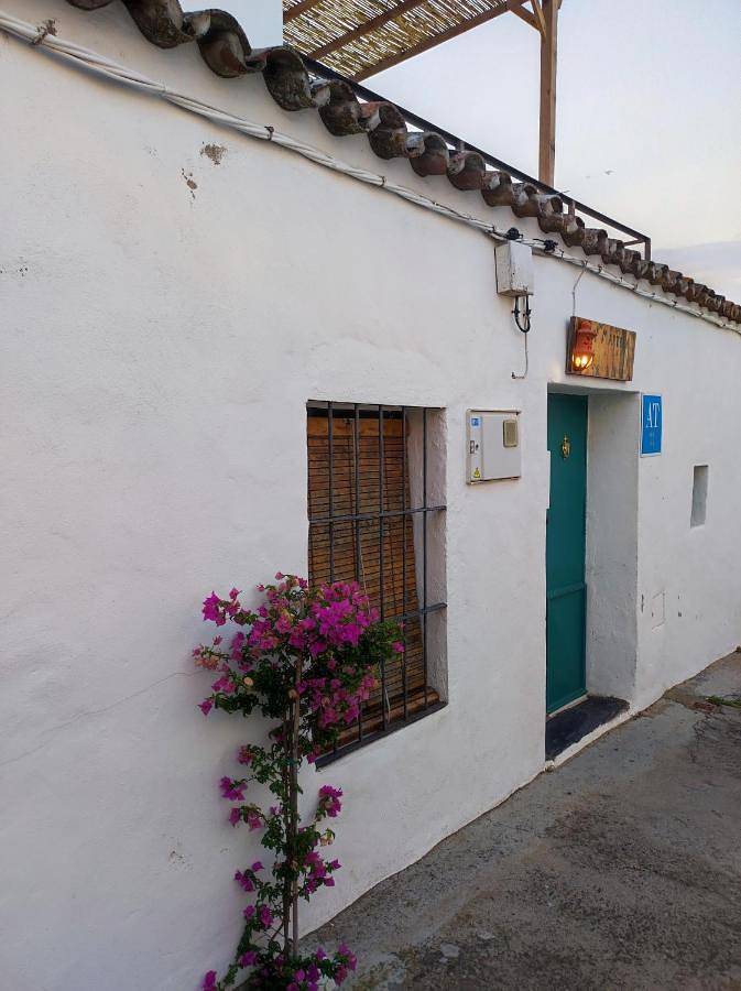 Casa rural para 3 personas, con jardín además de terraza y vistas, Se admiten mascotas en Tentudía - 2
