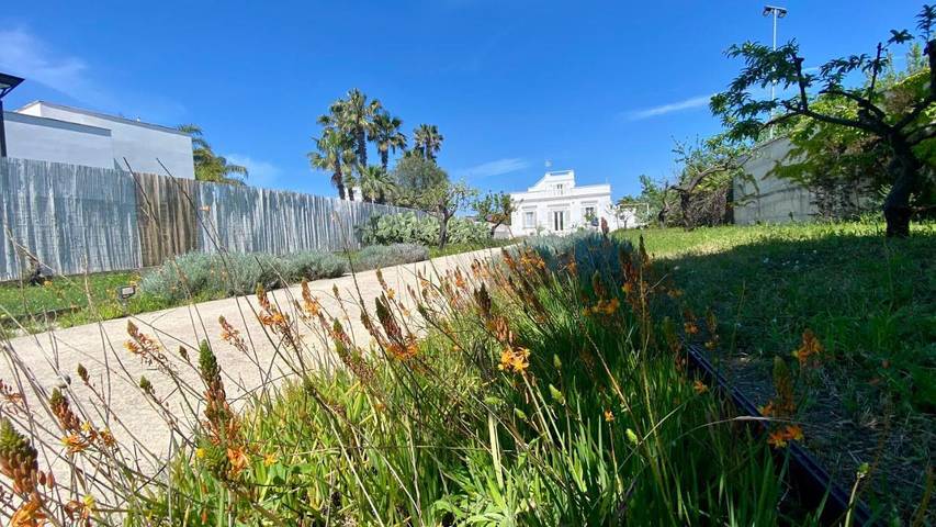 Location de vacances pour 6 personnes, avec jardin et vue, animaux acceptés à Trani - 4