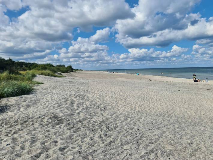 Ferienhaus für 6 Personen, mit Terrasse, mit Haustier in Gedesby - 3