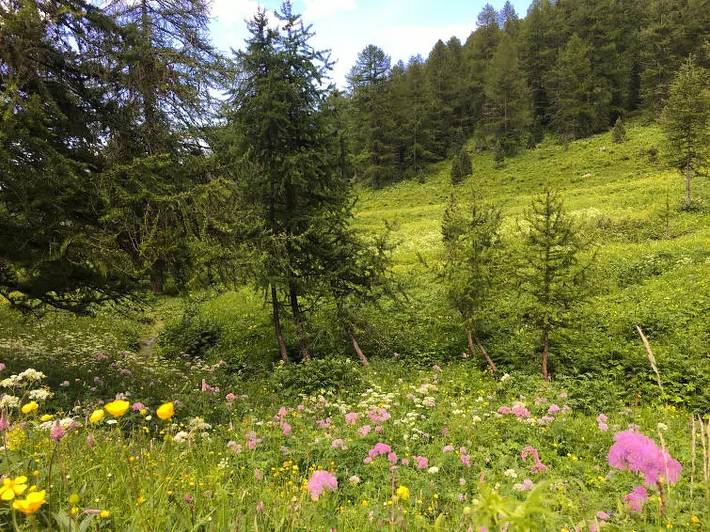 Appartamento vacanze per 4 persone, con piscina e giardino - 1