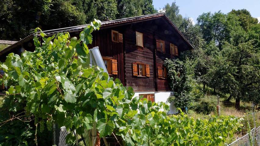 Vakantiehuis voor 6 personen, met tuin en terras, kindvriendelijk - 1