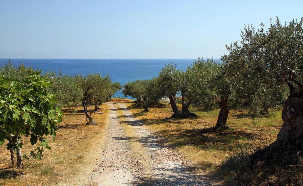 Appartamento intero, Studio Apartment with Sea View in Santo Stefano di Camastra, Provincia di Messina