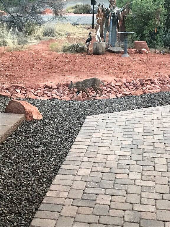 Ganze Wohnung, Amazing views right from room. in Oak Creek, Oak Creek Canyon