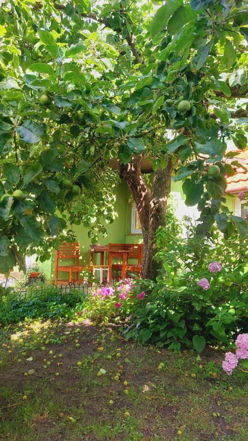 Gästehaus für 3 Personen, mit Garten und Terrasse, mit Haustier - 1