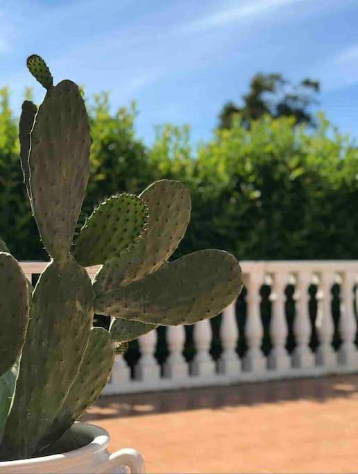 Appartamento intero, Villa dei Gelsi in Leporano Marina, Leporano