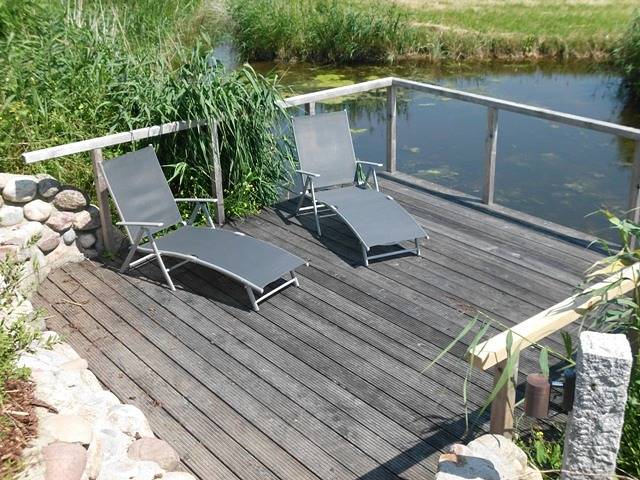 Ferienhaus Olga - Ferienhaus Olga -3-Räume - 01 in Norderfriedrichskoog, Eiderstedt