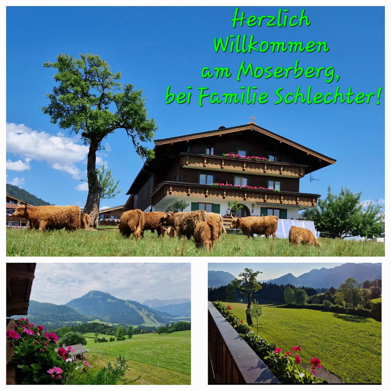 Ganze Ferienwohnung, Appartement "Zirbe", Dusche, Wc, 1 Schlafraum in Kössen, Chiemgauer Alpen