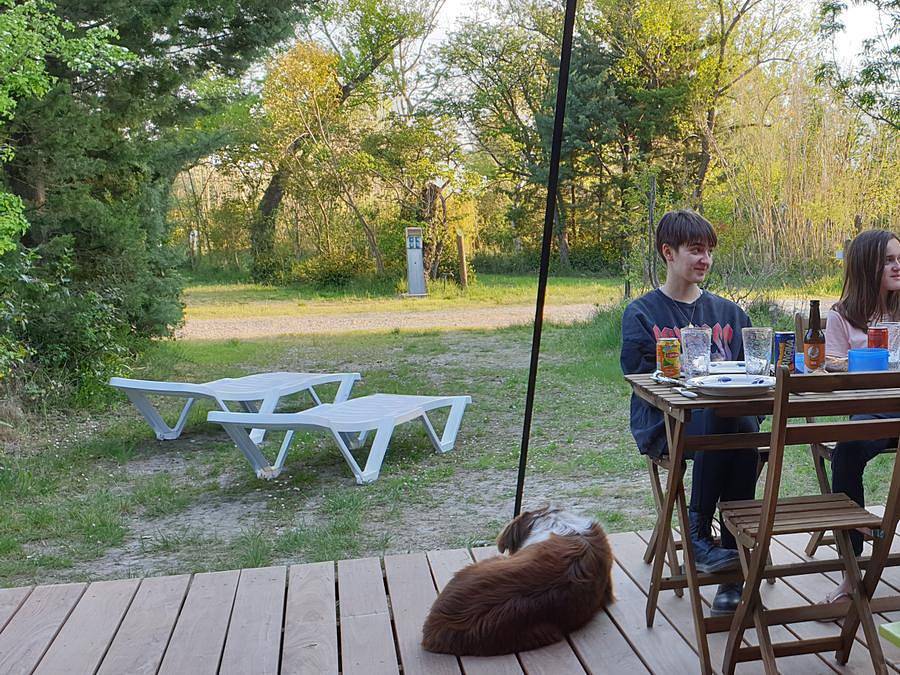 Flower Camping Les Rives De L'Aygues - Tente en toile et en bois 4 personnes - Tente prêt à camper 28 m² - terrasse semi-couverte - sans sanitaire in Tulette, Région de nyons