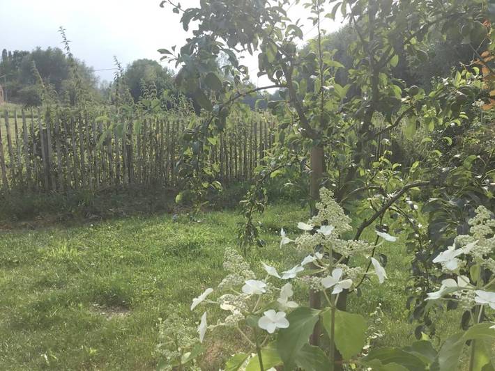 Location de vacances pour 4 personnes, avec vue sur le lac et jardin, adapté aux familles dans Parc naturel régional Scarpe-Escaut - 2