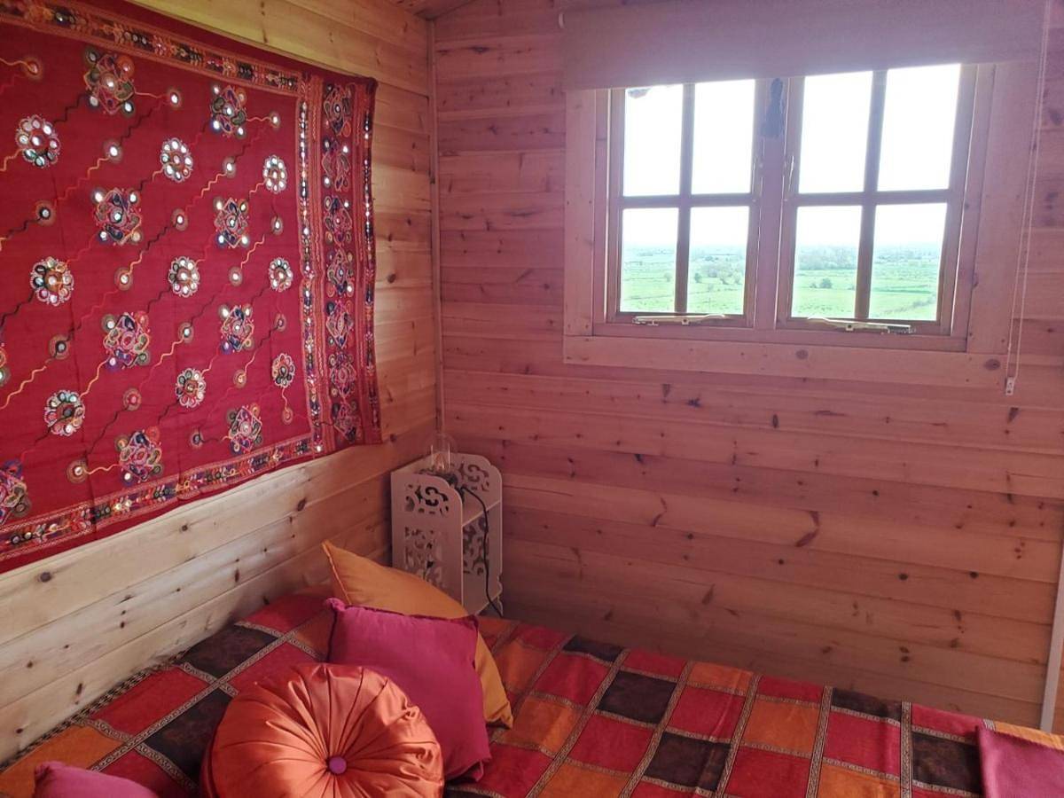 Economy Single Room in Glastonbury, Somerset
