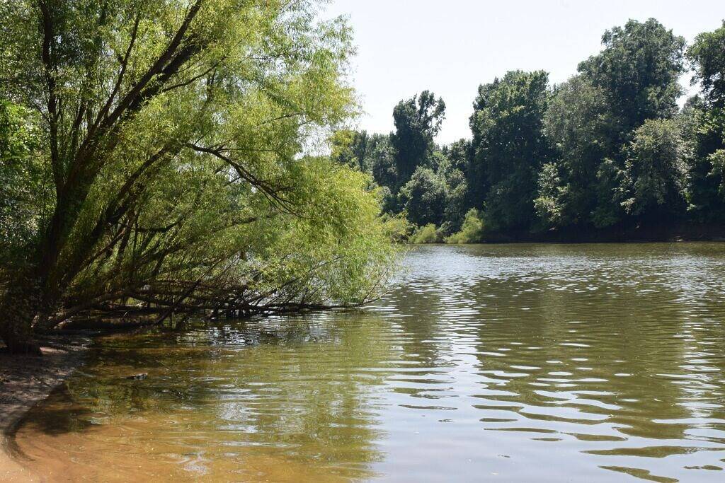 Camping for 50 Guests in South Carolina, USA