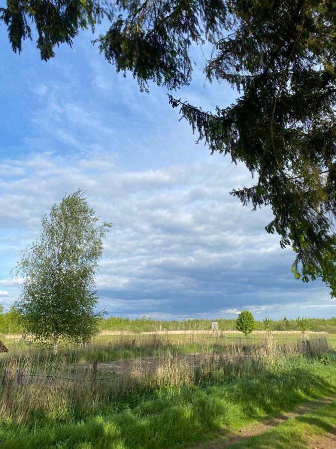Holiday Home in Ahlbeck bei Ueckermünde, Vorpommern Greifswald