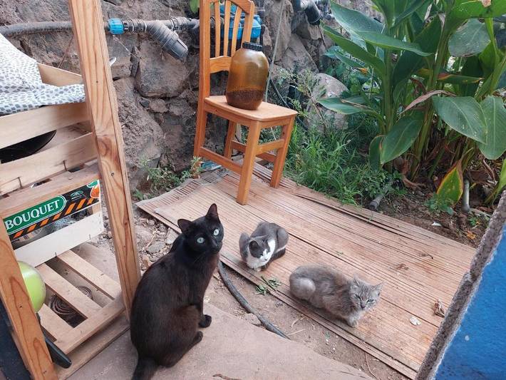 Camping pour 2 personnes, avec vue et jardin aux Canaries - 4