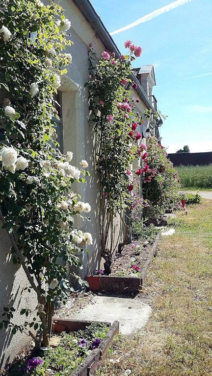 Gîte pour 6 personnes, avec terrasse et jardin, animaux acceptés dans le Loir-et-Cher - 2