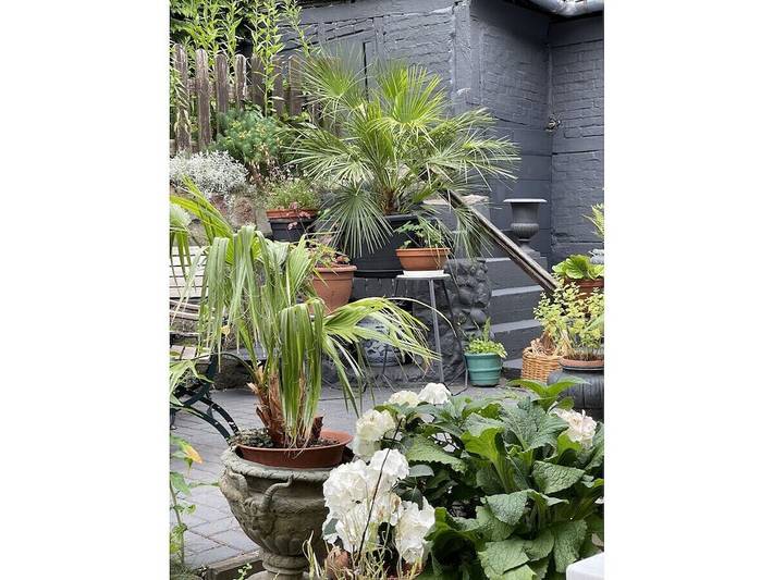 Ferienhaus für 4 Personen, mit Terrasse und Garten in Bergen auf Rügen