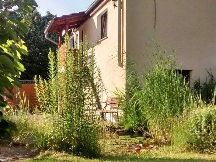 Ferienwohnung für 2 Personen, mit Garten in Elbe-Börde-Heide - 2