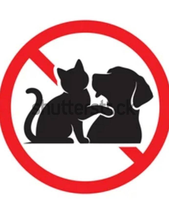 Gîte pour 2 personnes, avec jardin et vue à Montreuil-Bellay - 2