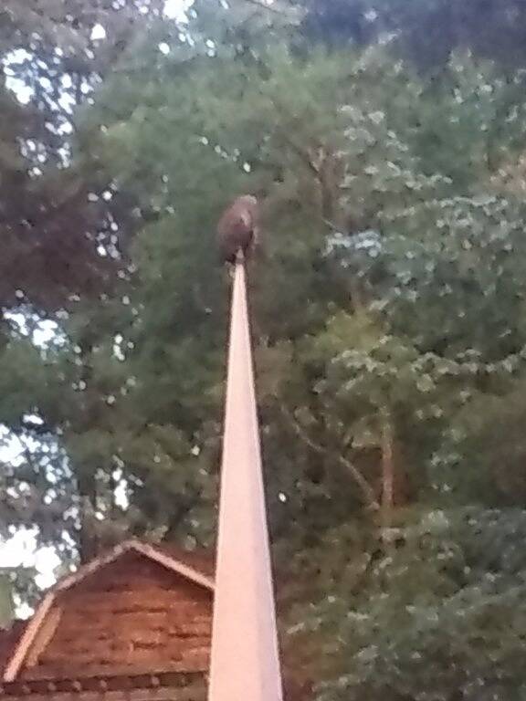 Cabin 2 Miles From Trade Days Granny'S Cabin Themed With Antiques in Van Zandt County