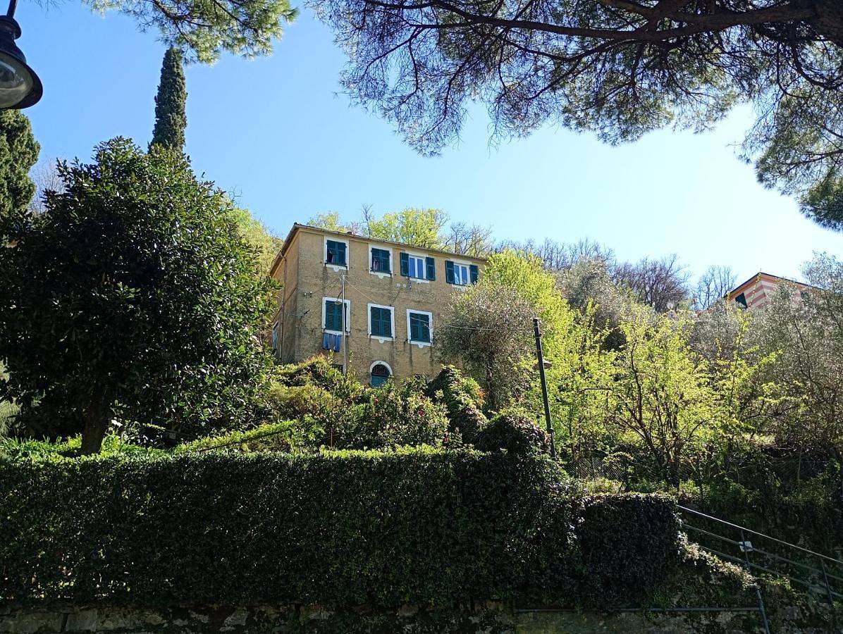 Golfo Paradiso in Camogli, Riviera di Levante