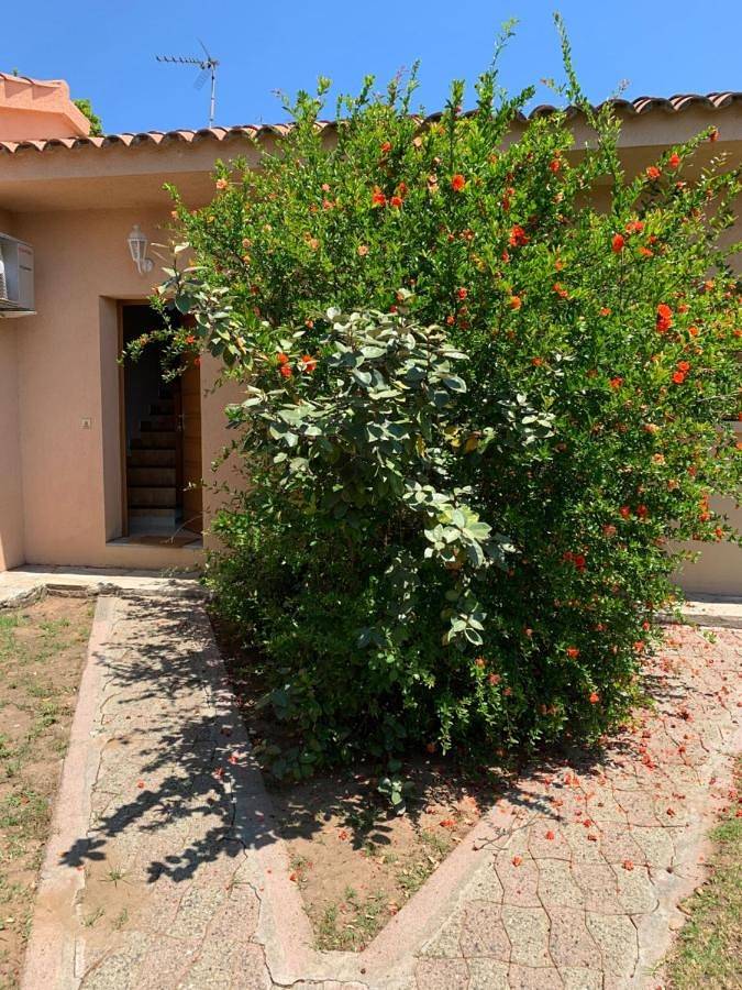 Residence Mare e Sole in Taglio-Isolaccio, Arrondissement de Corte