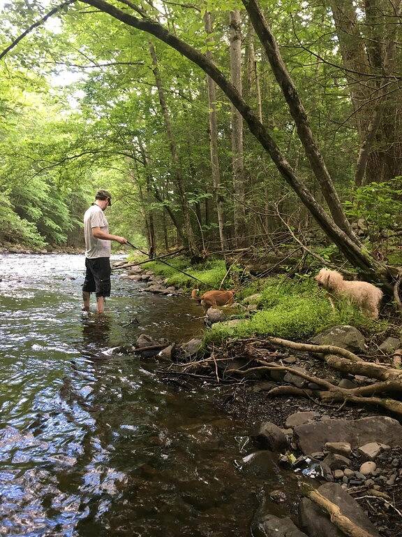 Rustikales Haus mit modernen Annehmlichkeiten, Whirlpool, 70 \"Tv, Billardtisch, Kamin in Saw Creek, Pike County