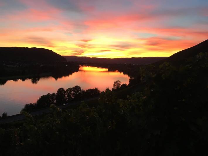 Ferienwohnung für 3 Personen, mit Terrasse in Schweich - 2