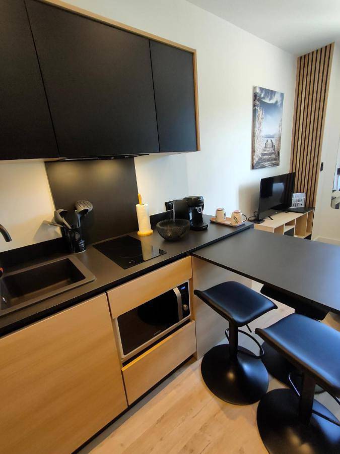 Gîte pour 3 personnes, avec terrasse et vue, animaux acceptés à Viviers-du-Lac - 4