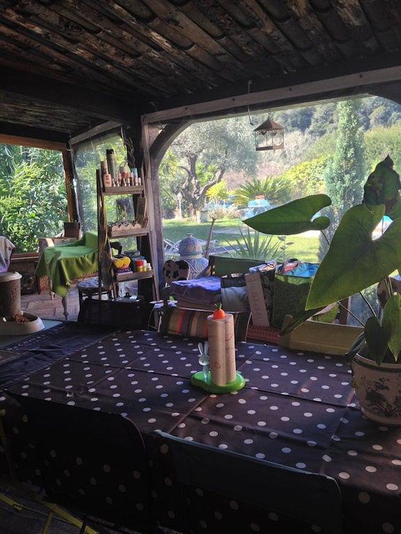 Chambres d'hôtes Abeille - Chambre Mimine in Vence, Région de Cannes