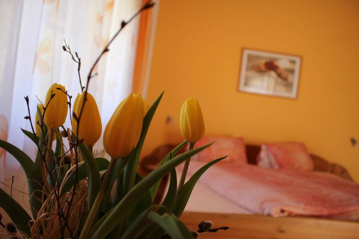 Appartement Dolomitenblick in Schobergruppe, Winklern