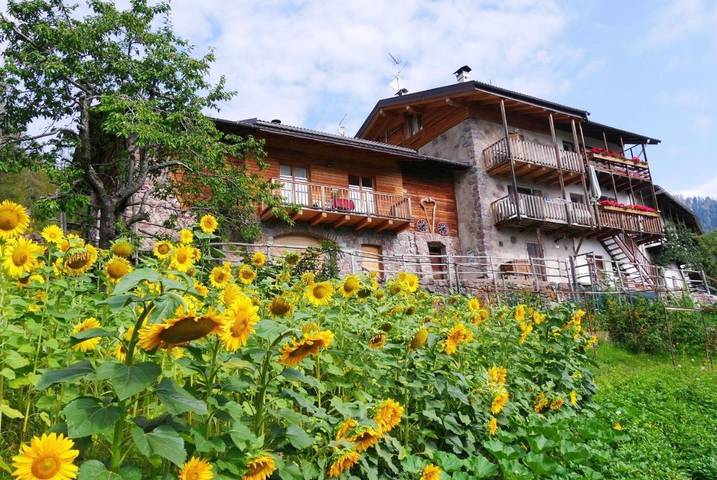 Agriturismo per 4 persone, con Balcone e Terrazza nonché Giardino e Piscina per bambini in Valsugana