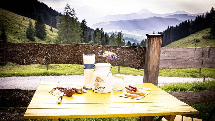 Hütte für 6 Personen, mit Garten in Österreich - 4