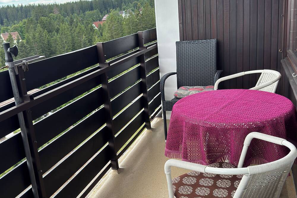 Ganze Wohnung, 1- Raumappartement Jung Freudenstadt - Kniebis in Kniebis, Freudenstadt
