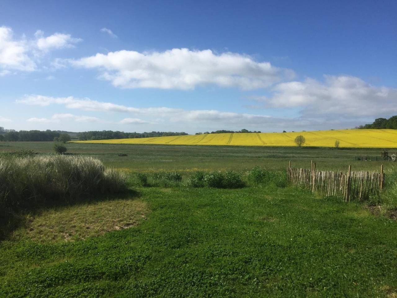Entire apartment, Möwe in Lancken-Granitz, Ruegen