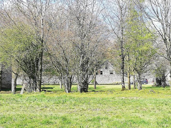 Gîte pour 6 personnes, avec jardin à Gratot - 3