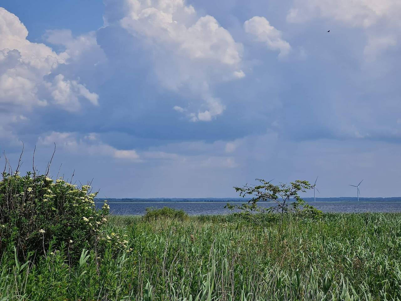 Moderne tilflugtssted med spa -- By Traum Ferienwohnungen in Nørhede Vest, Ulfborg