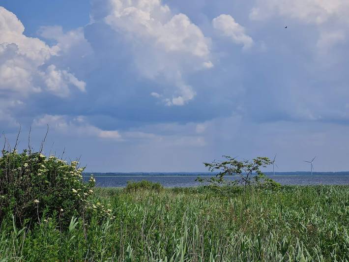 Ferienhaus für 4 Personen, mit Garten und Terrasse, mit Haustier in Dänemark - 4