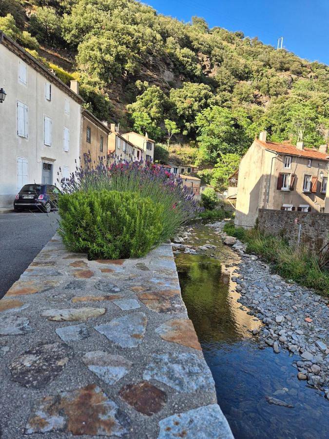 Location de vacances pour 8 personnes, avec terrasse à Mas-Cabardès - 4