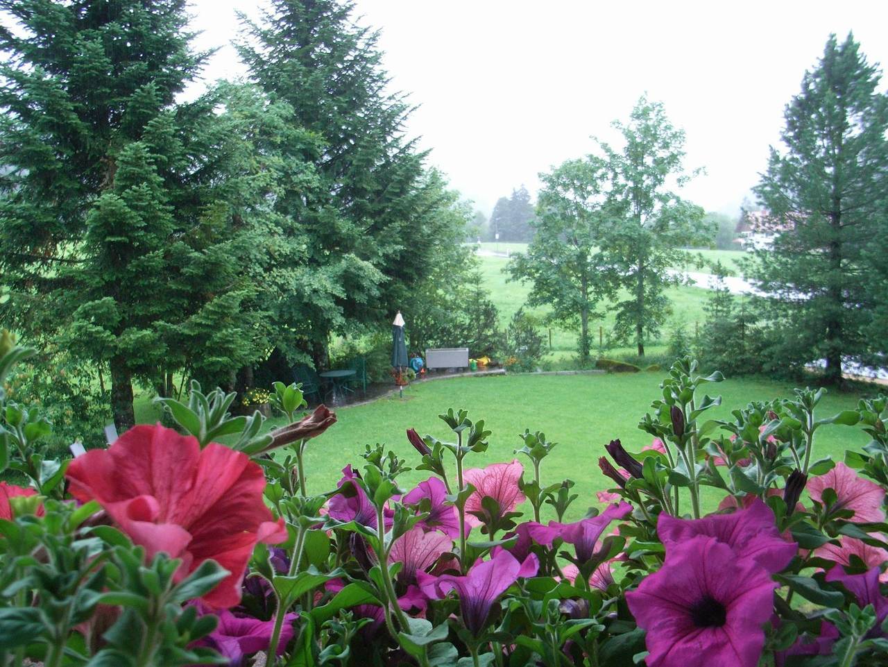 Ganze Ferienwohnung, Gästehaus Auerstüble in Balderschwang, Bayerisch Schwaben