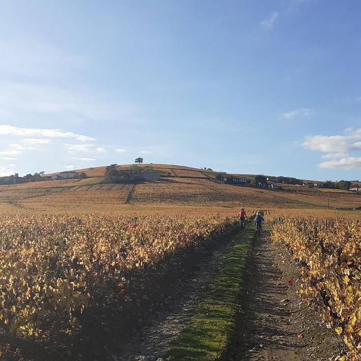 Location de vacances pour 2 personnes, avec vue et jardin ainsi que piscine et terrasse à Villié-Morgon - 3