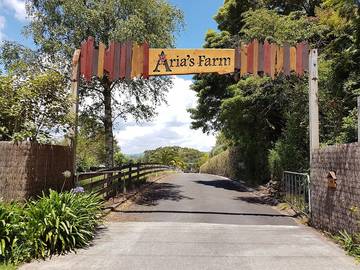 Holiday Home for 25 People in Rotorua, Bay of Plenty, Photo 1