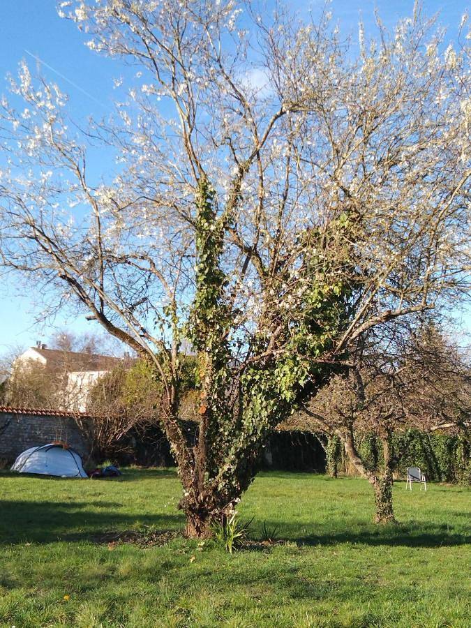 Camping, avec Terrasse et Jardin