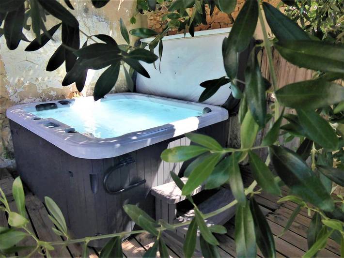 Gîte pour 7 personnes, avec vue et jardin ainsi que piscine et bassin pour enfant, animaux acceptés à Bagnols-sur-Cèze - 4