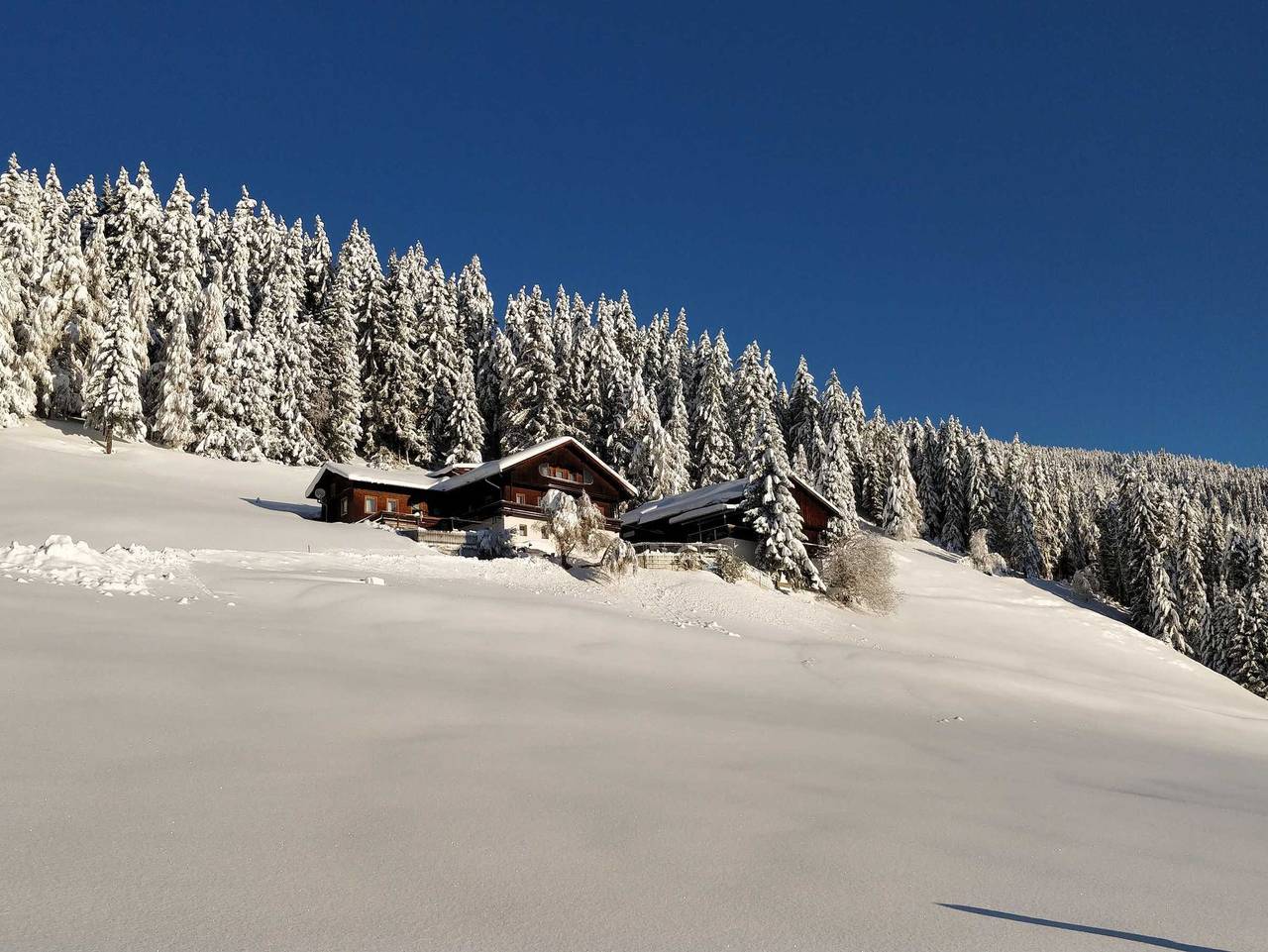 Haus Lukasser - Wohnung Süd in Assling, Osttirol