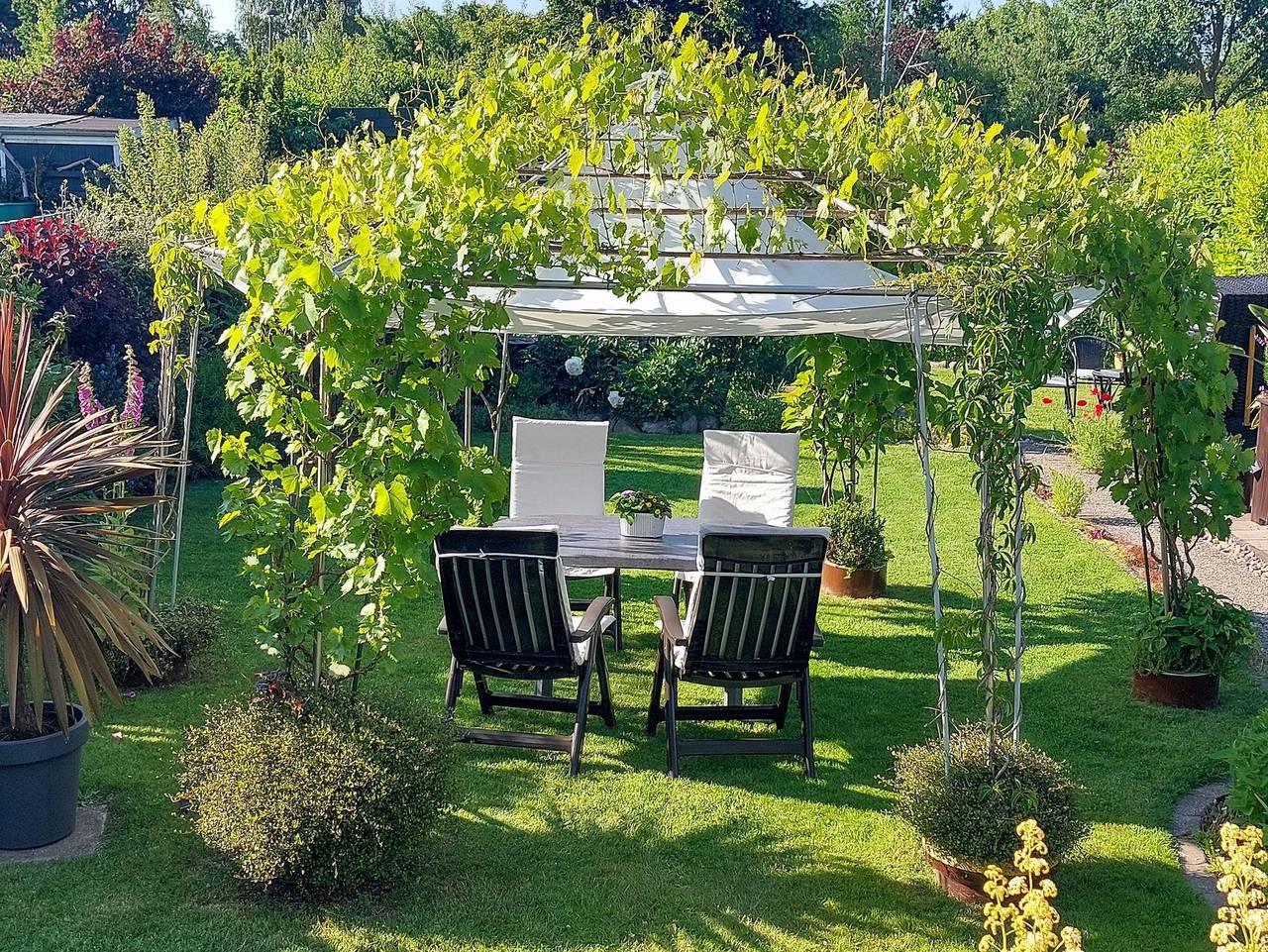Ganze Ferienwohnung, Ferienwohnung Gänseblümchen - Ferienwohnung Gänseblümchen in Ribnitz, Ribnitz-Damgarten