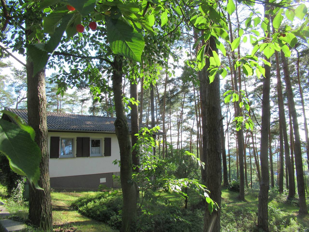 Feriendorf Mengshausen 5 in Niederaula, Rhön-Hessen