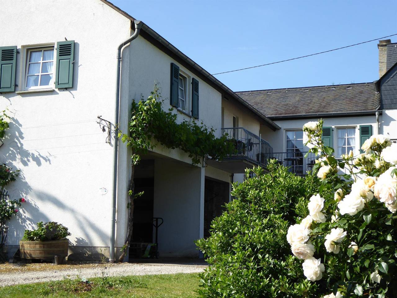 Feriengut Bohn in Andel, Bernkastel-Kues