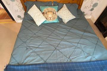 Cottage for 4 People in Bedford, Bedfordshire, Photo 2