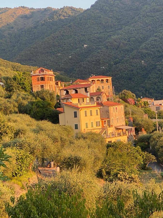 Chambre d’hôte pour 2 personnes, avec jardin et vue à Lecchiore