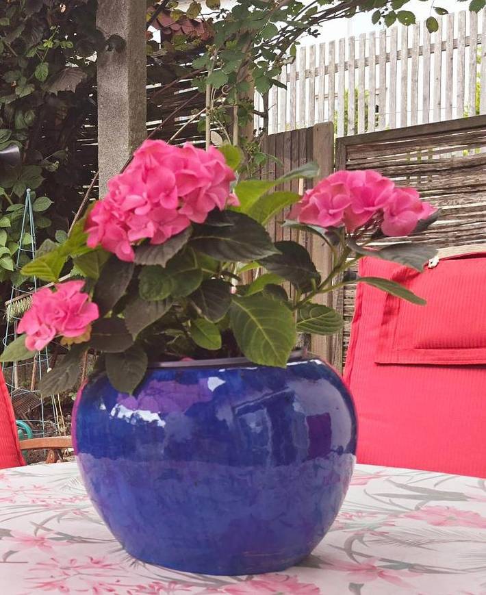 Ferienwohnung für 2 Personen, mit Terrasse und Garten sowie Ausblick in Mistelgau - 4